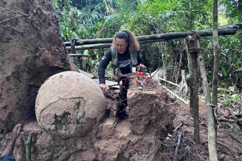 Penemuan Tempayan Pemakaman Raksasa Pra-Columbus di Pedalaman Hutan Amazon Brazil