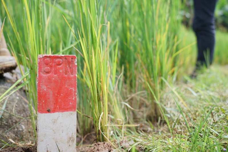 Alasan Pasang Patok Tanah Jadi Kunci Hindari Konflik dan Masalah Hukum