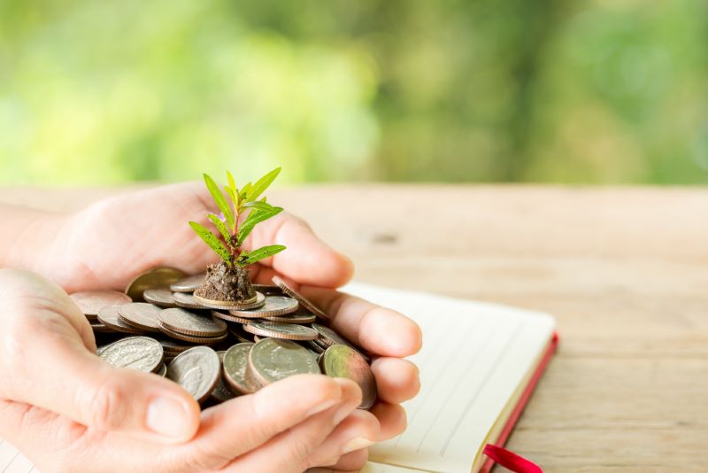 Reksadana Kinerja Terbaik 2026 Versi Investor Cerdas, Banyak Dicari Tahun Ini
